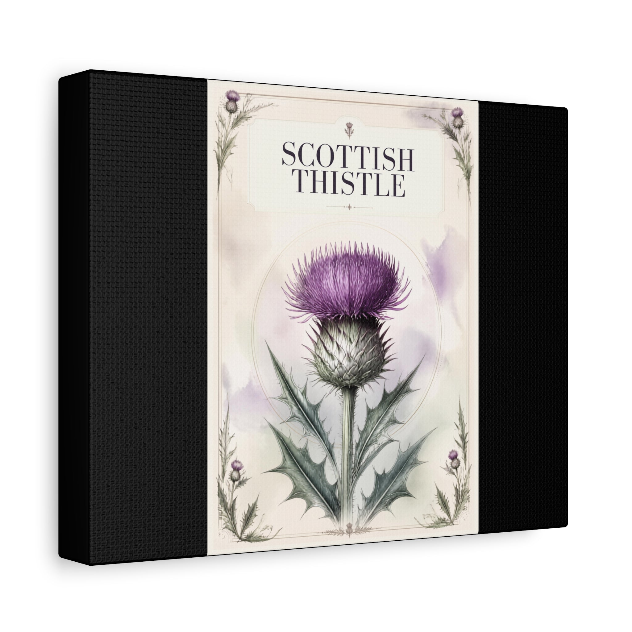 Scottish Thistle Botanical Canvas Print — Matte Stretched Wall Art
