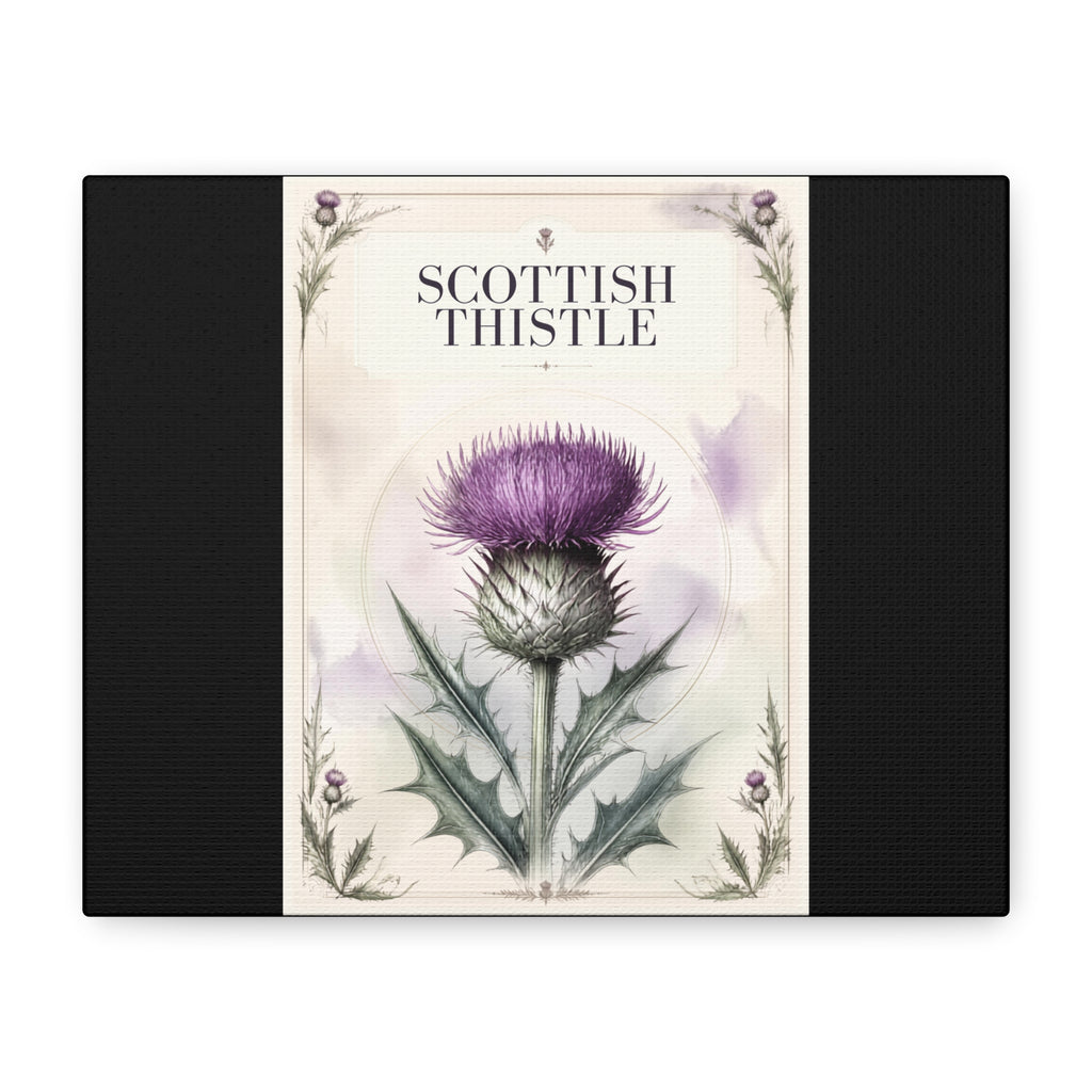 Scottish Thistle Botanical Canvas Print — Matte Stretched Wall Art