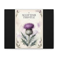 Scottish Thistle Botanical Canvas Print — Matte Stretched Wall Art