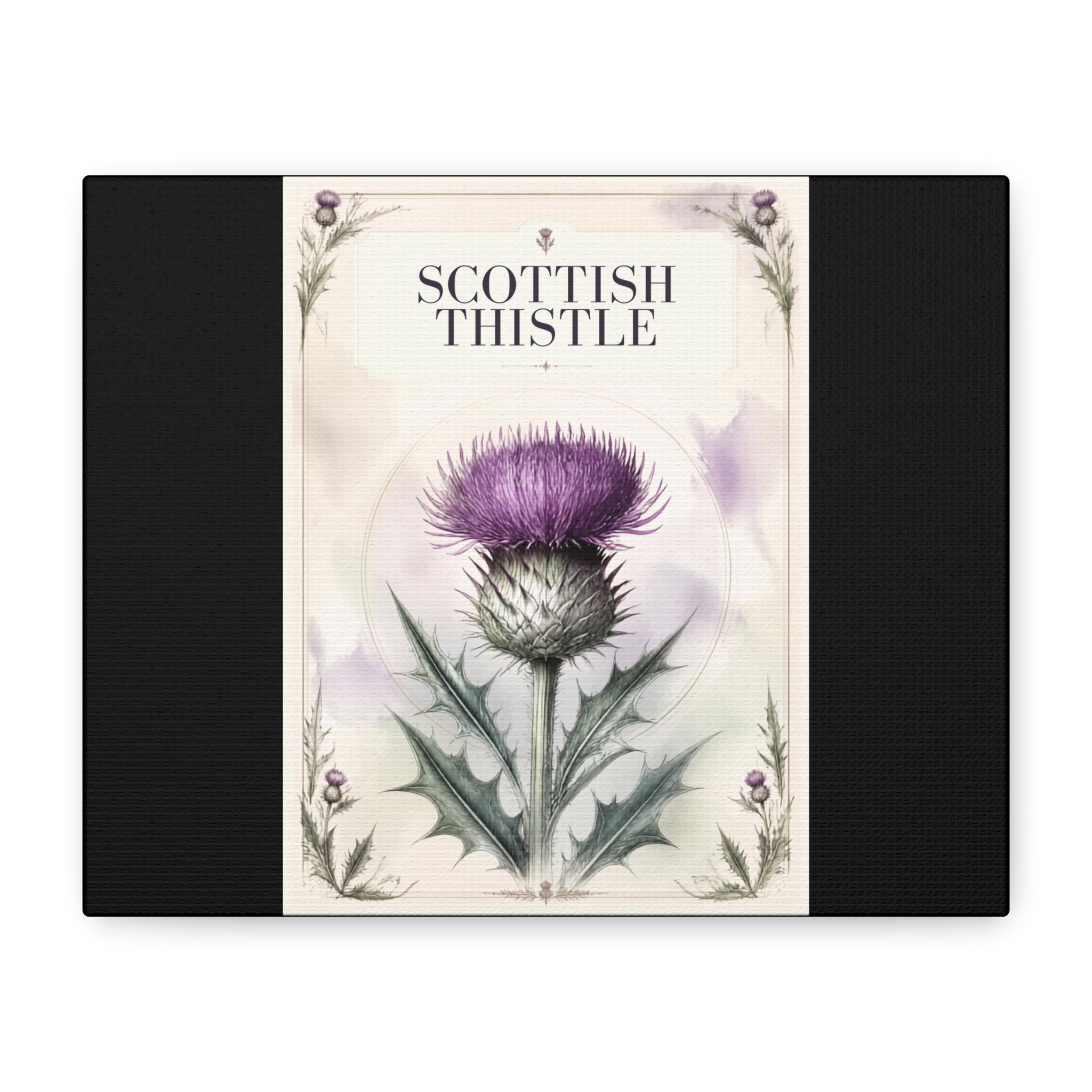 Scottish Thistle Botanical Canvas Print — Matte Stretched Wall Art