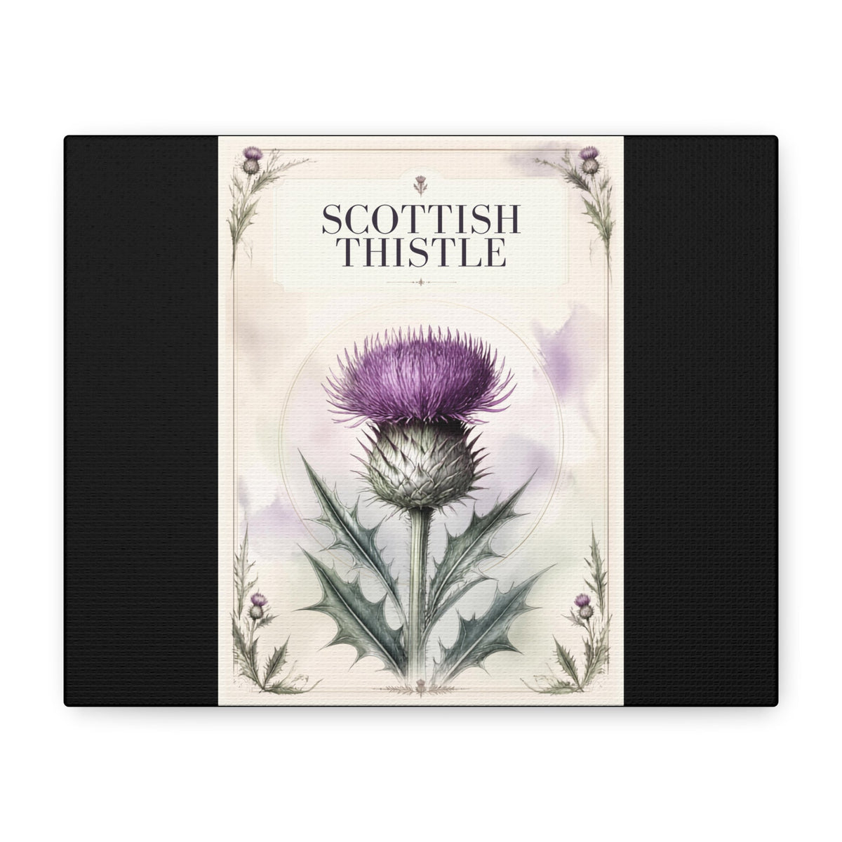 Scottish Thistle Botanical Canvas Print, 10 x 8 in - CK NORTH Scottish Thistle Botanical Canvas Print, 10 x 8 in | CK NORTH